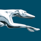 Greyhound icon