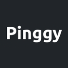 Pinggy.io icon