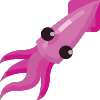 Run DMSquid icon