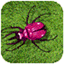 Critter Zapper icon