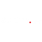 Salary.com icon