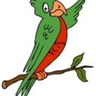 PrivacyParrot icon