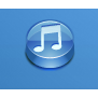 Music Collection icon