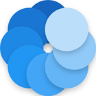 Bluecoins icon