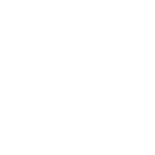 Hodlnaut icon