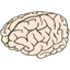 Voc2brain icon