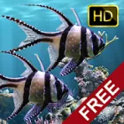 The real aquarium HD icon