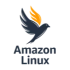 Amazon Linux 2 icon