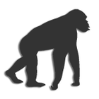 Evolution 2 icon