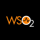 WSO2 API Manager