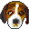 Proxyhound icon