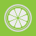 Lime Files icon