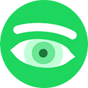 Spytify icon