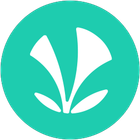 JioSaavn icon