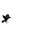 Sound Crow icon