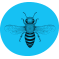 Buzzcar icon