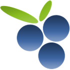 Findberry icon