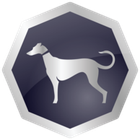 Sighthound Video icon