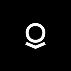 Palantir Gotham icon