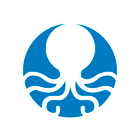 Octopus24 icon