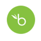 BambooHR icon