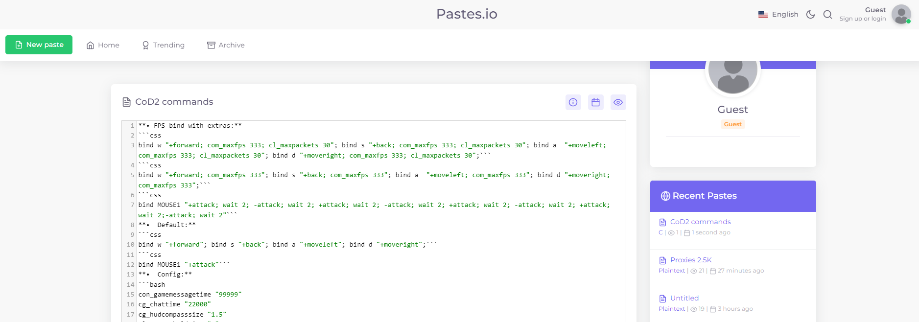 Pastes.io