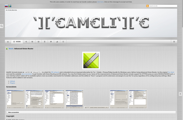 Advanced Onion Router image