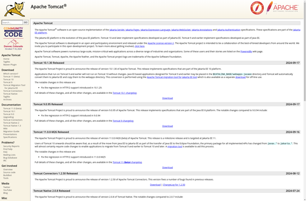Apache Tomcat image