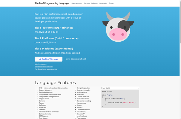 Beef Programming Language image