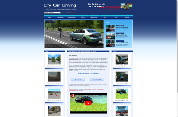 City Car Driving image