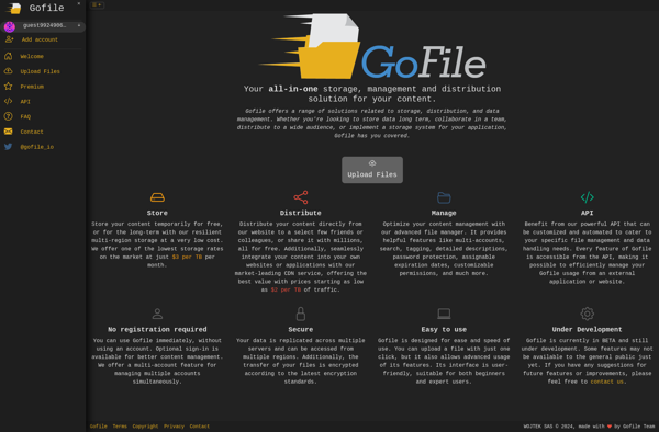 Gofile.io image