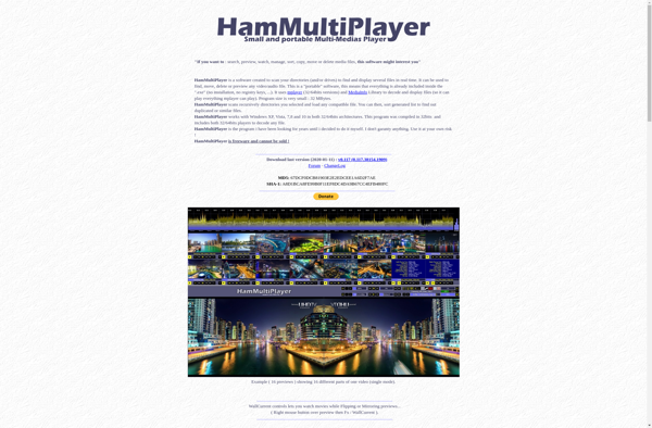 HamMultiPlayer image