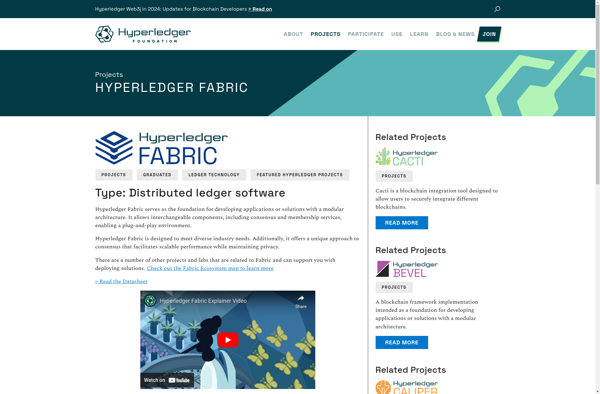 Hyperledger Fabric image