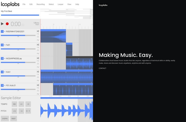 Looplabs image