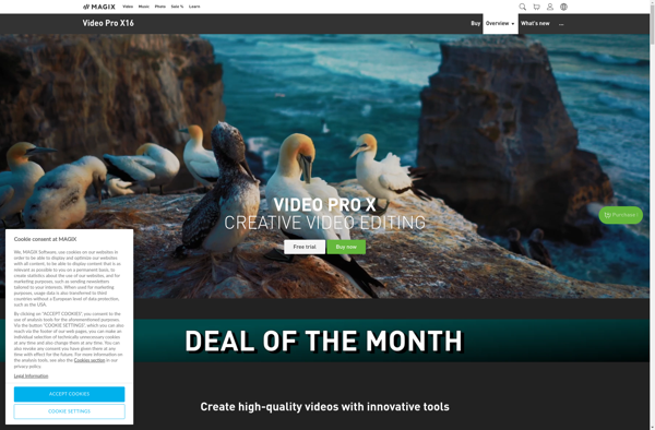 MAGIX Video Pro X image