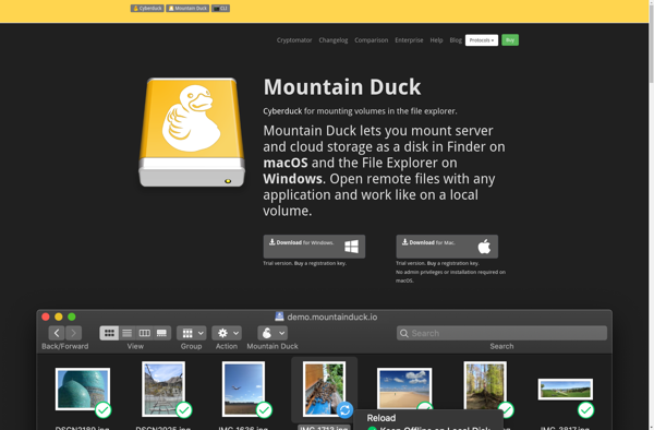 Mountain Duck image