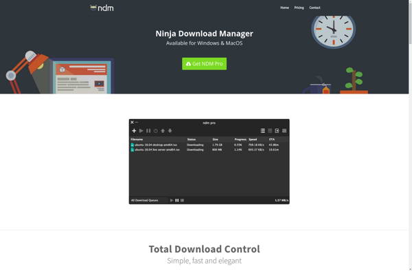 Ninja Download Manager image