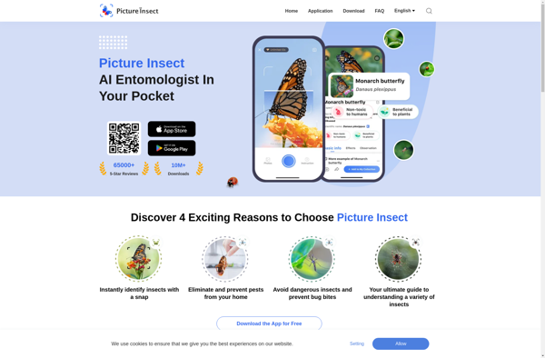 Picture Insect image