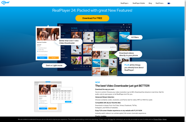 RealPlayer image