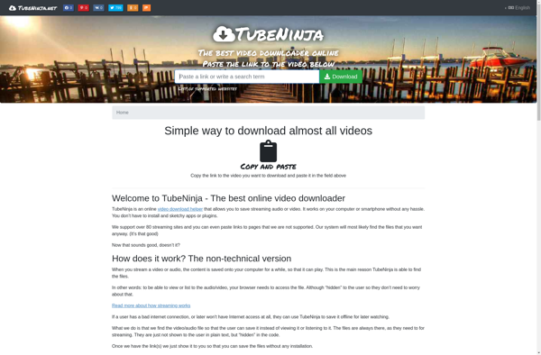 TubeNinja.net image