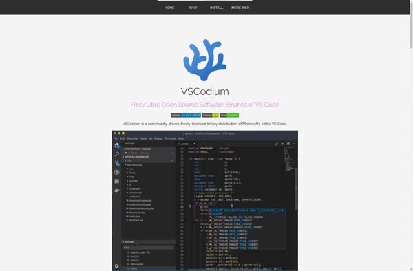 VSCodium image