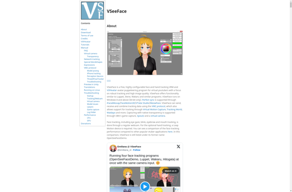 VSeeFace image